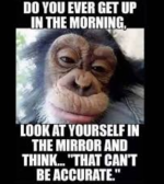 1746761175444.png