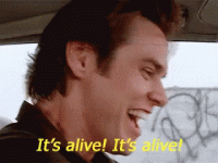 1749482131177.gif