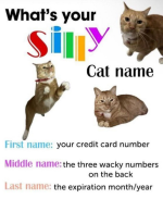 1750171811377.png
