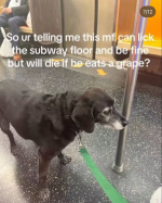 1750172579592.png